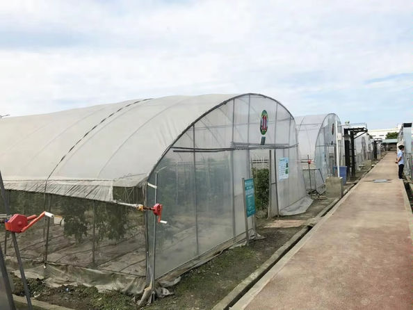 Matt Charlton fue el primero.