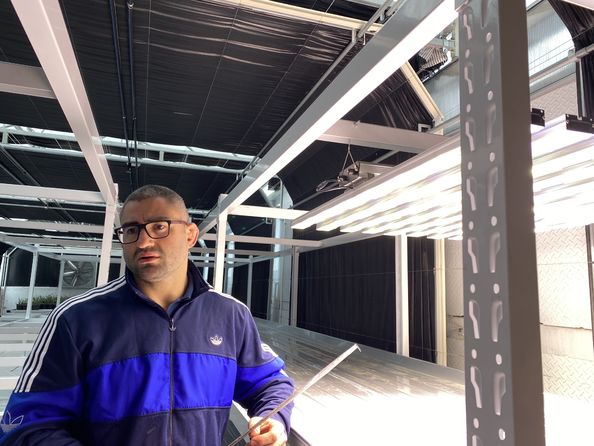 Broderick vanaernam también