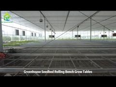 Mesa de cultivo de malla de alambre y mesa de cultivo rodante de flujo y reflujo para invernadero