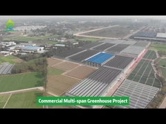 Invernadero de cultivo de hortalizas agrícolas de varios tramos con túnel de película plástica polivinílica