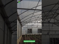 Invernadero de película plástica tropical con diseño de diente de sierra