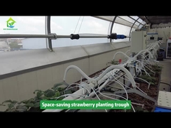 Jardinera para plantar fresas