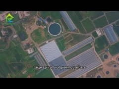Gran base de plantación de invernaderos agrícolas grandes
