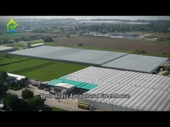 Invernadero de vidrio totalmente inteligente para el cultivo de tomates y pimientos