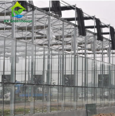 El anuncio publicitario moderó el tipo de cristal invernadero Multispan de Venlo para agrícola