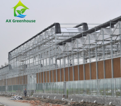 El anuncio publicitario moderó el tipo de cristal invernadero Multispan de Venlo para agrícola