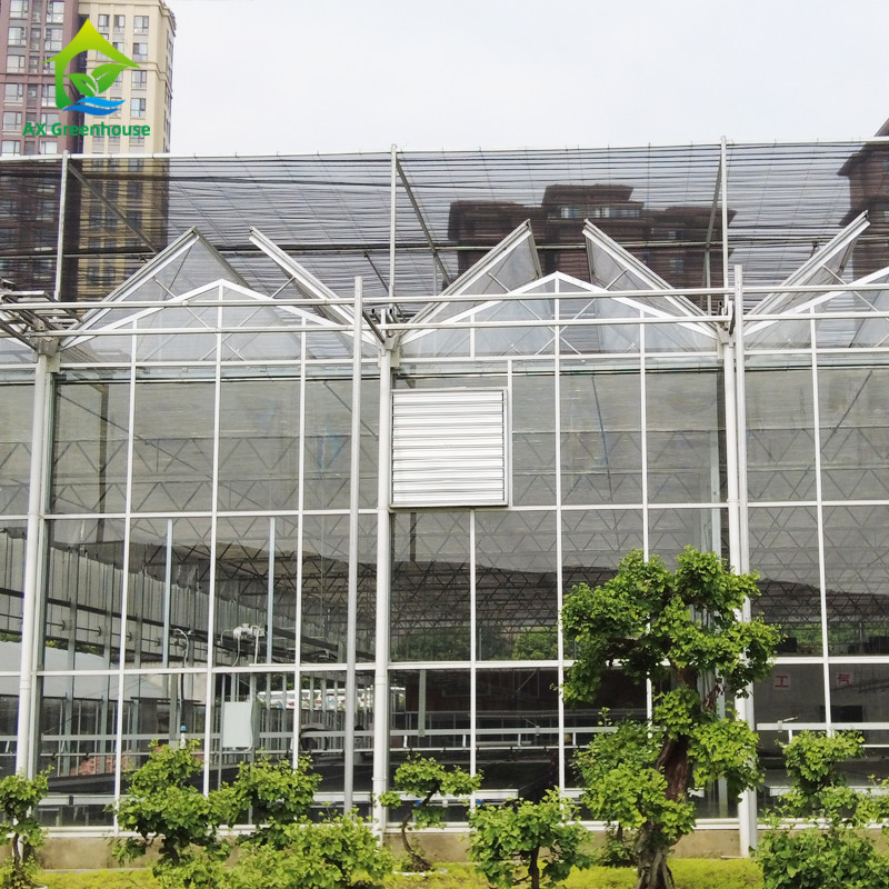 Estructura de acero galvanizado y sumergido en caliente, moldeo de techos triangulares, 30*20m, invernadero automático comercial personalizado, invernadero de vidrio Venlo