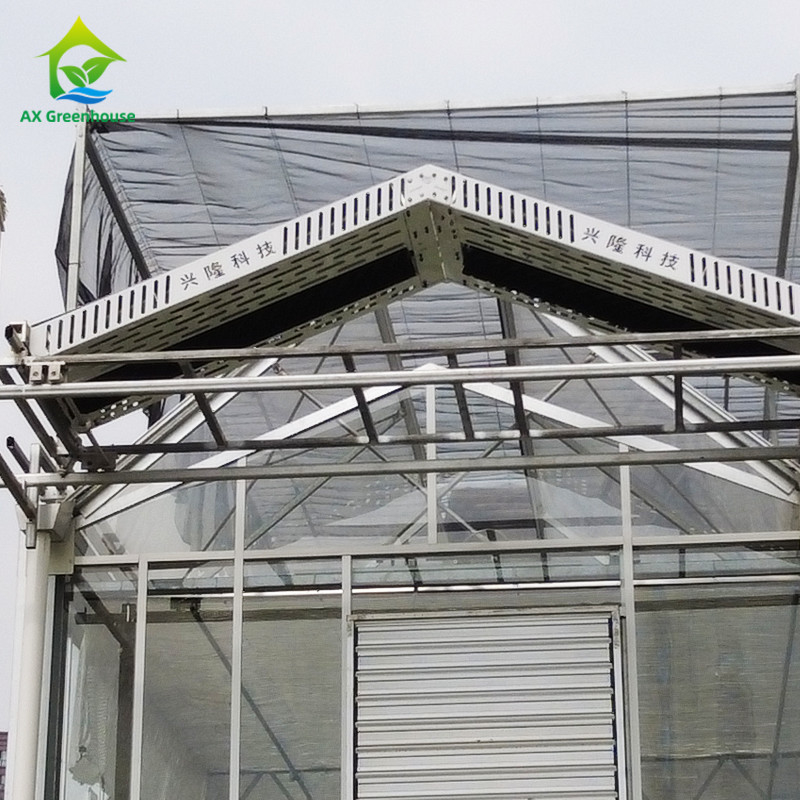 9.6m/10.8m/12m ancho marco de aleación de aluminio vidrio agrícola venlo invernadero de múltiples tramos con moldeo de techo triangular