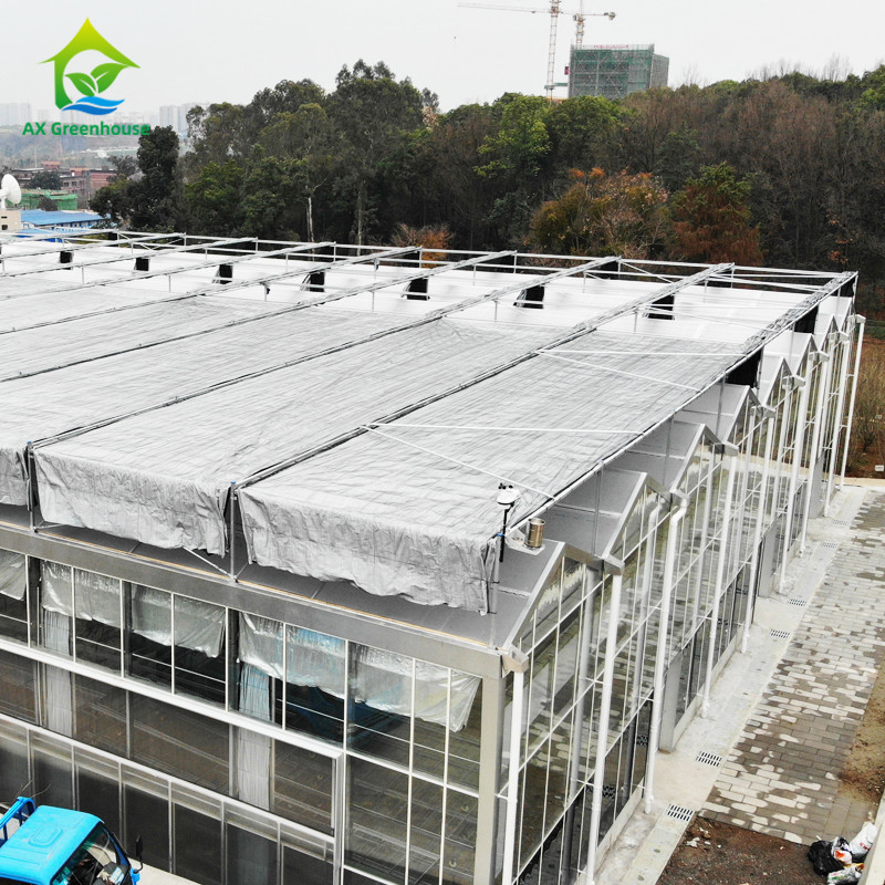Sistema de control inteligente Invernadero duradero para verduras 9.6m/10.8m/12m de ancho