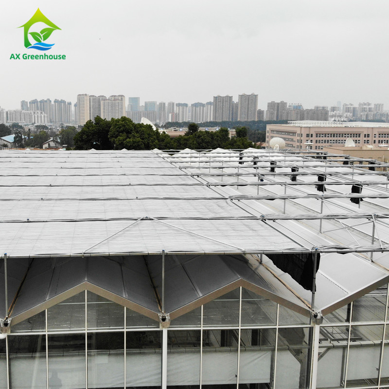 Estructura de acero galvanizado y sumergido en caliente, moldeo de techos triangulares, 30*20m, invernadero automático comercial personalizado, invernadero de vidrio Venlo