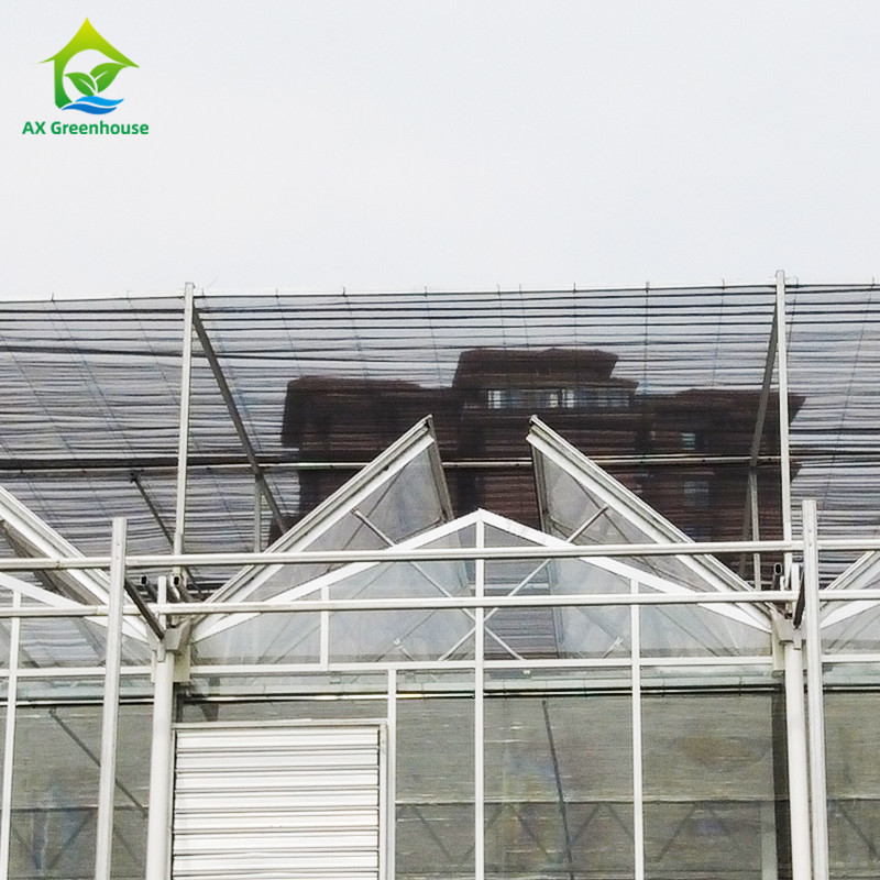 9.6m/10.8m/12m ancho marco de aleación de aluminio vidrio agrícola venlo invernadero de múltiples tramos con moldeo de techo triangular