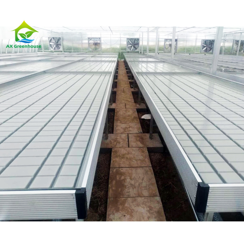 Cultivo sin suelo Invernadero de interior de cultivo por encargo Ebb Tabla de cultivo de rodillos para semillas