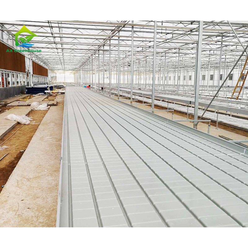 Cultivo sin suelo Invernadero de interior de cultivo por encargo Ebb Tabla de cultivo de rodillos para semillas