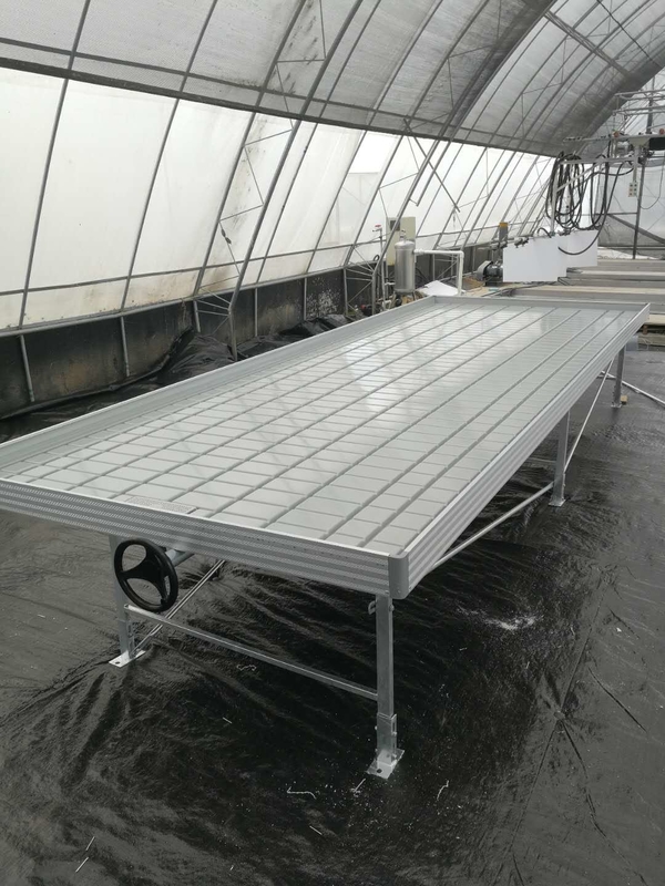 Invernadero Ebb Flujo de siembra de banco rodante Tablas de cultivo para el cultivo de varios tipos de plantas