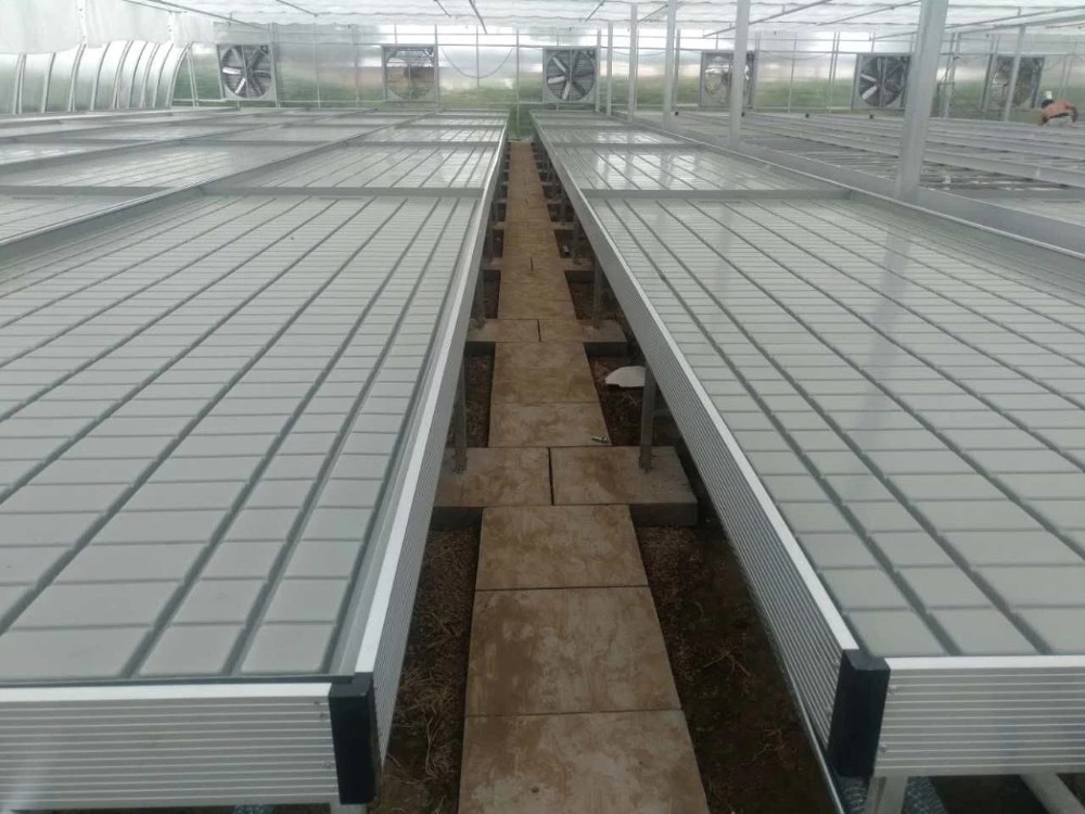Crezca el banco de Tray Rolling Ebb And Flow de la inundación de la tabla para el almácigo del invernadero de la flor