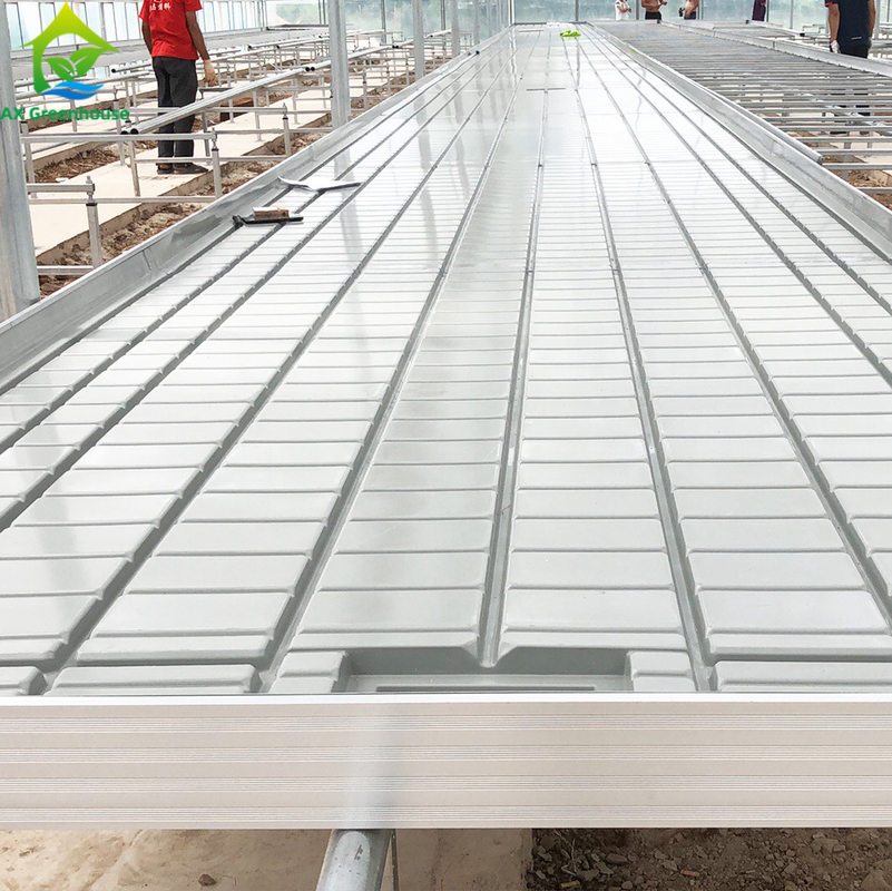 Invernadero Ebb Flujo de siembra de banco rodante Tablas de cultivo para el cultivo de varios tipos de plantas
