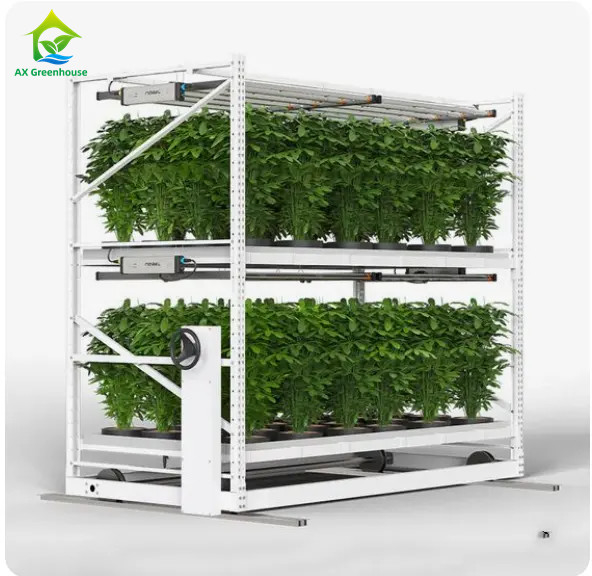 Rack de cultivo de hierbas medicinales para cultivos verticales