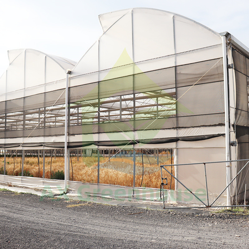 Estructura de acero Película resistente a los rayos UV Poly Tunnel Multi-span Invernadero vegetal para tomates