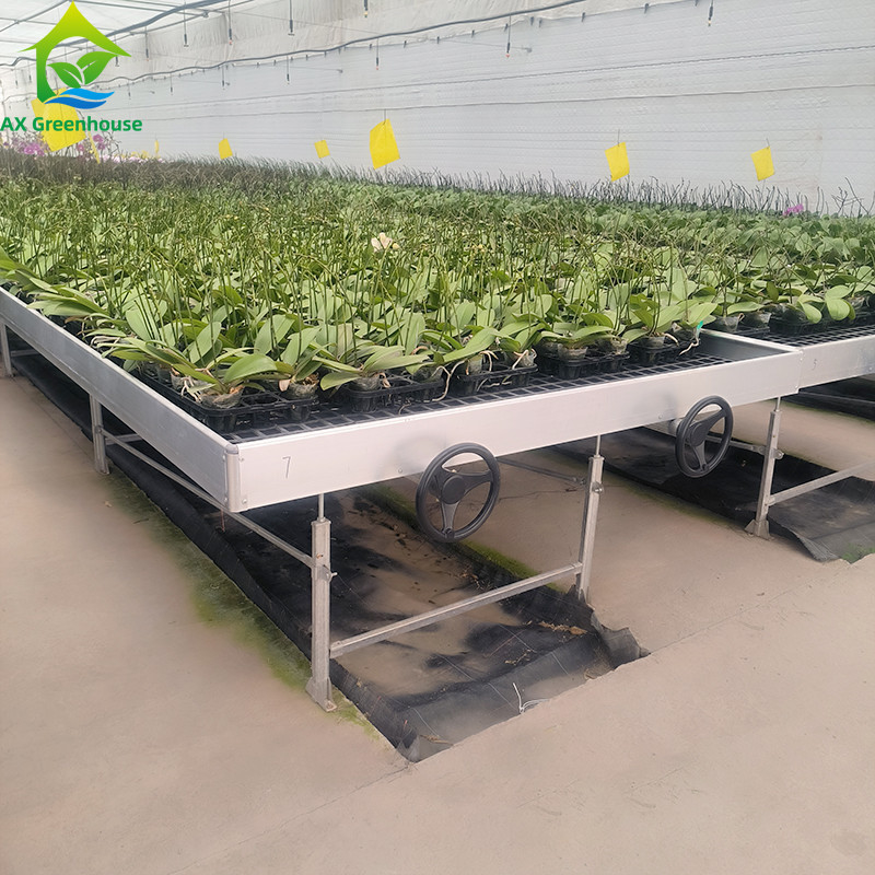 Tabla de rodadura hidropónica móvil para plantas en invernadero