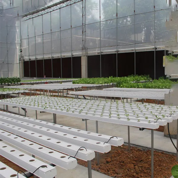 Agricultura en interiores sin suelo El cultivo de fresas Tubo de PVC para hidroponía Sistema NFT para la venta