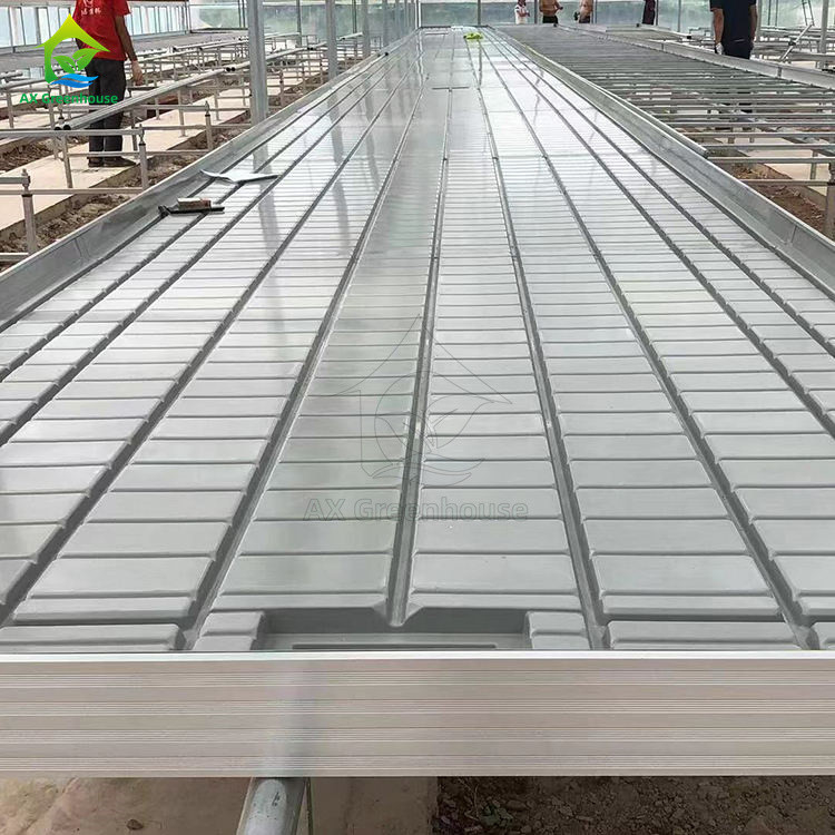 Tabla de rodadura hidropónica móvil para plantas en invernadero