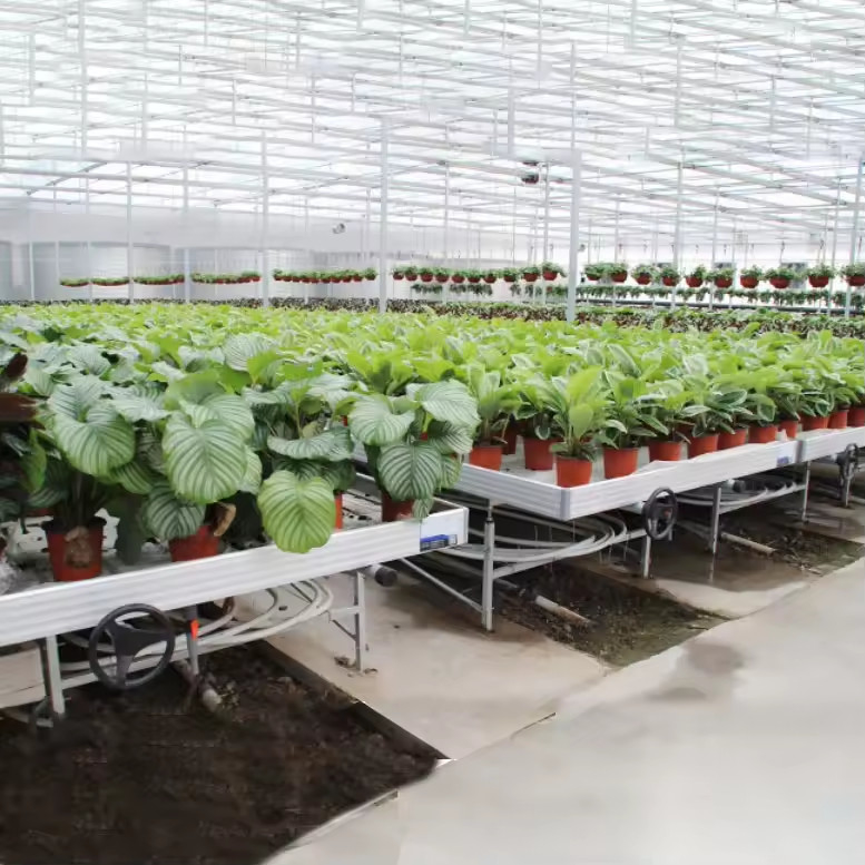Cultivo sin suelo Invernadero de interior de cultivo por encargo Ebb Tabla de cultivo de rodillos para semillas