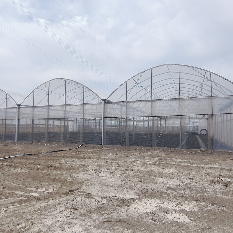 Estructura de acero galvanizado en caliente con película de plástico de múltiples tramos Invernadero personalizado con diseño de dientes de sierra de ventilación tropical