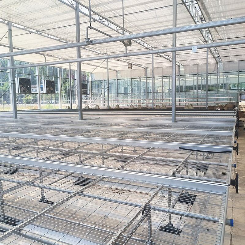 Agricultura Comercial de interior de malla de alambre de invernadero de cultivo de la mesa de rodadura de banco para sembrar