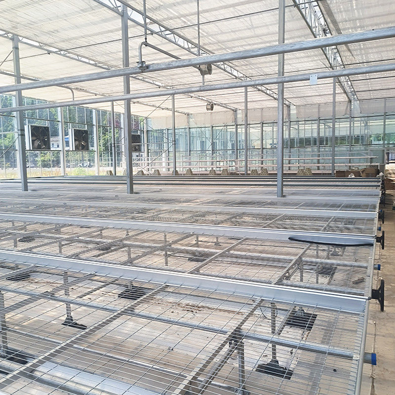 Mesa de cultivo rodante para invernadero personalizada con ventaja de fácil construcción y estructura de acero galvanizado en caliente