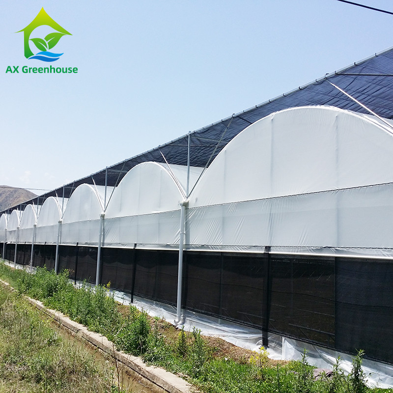 Pipa de acero galvanizado en caliente Vivero Sistema de apagado de película Panda de múltiples tramos Hongo Invernadero tropical