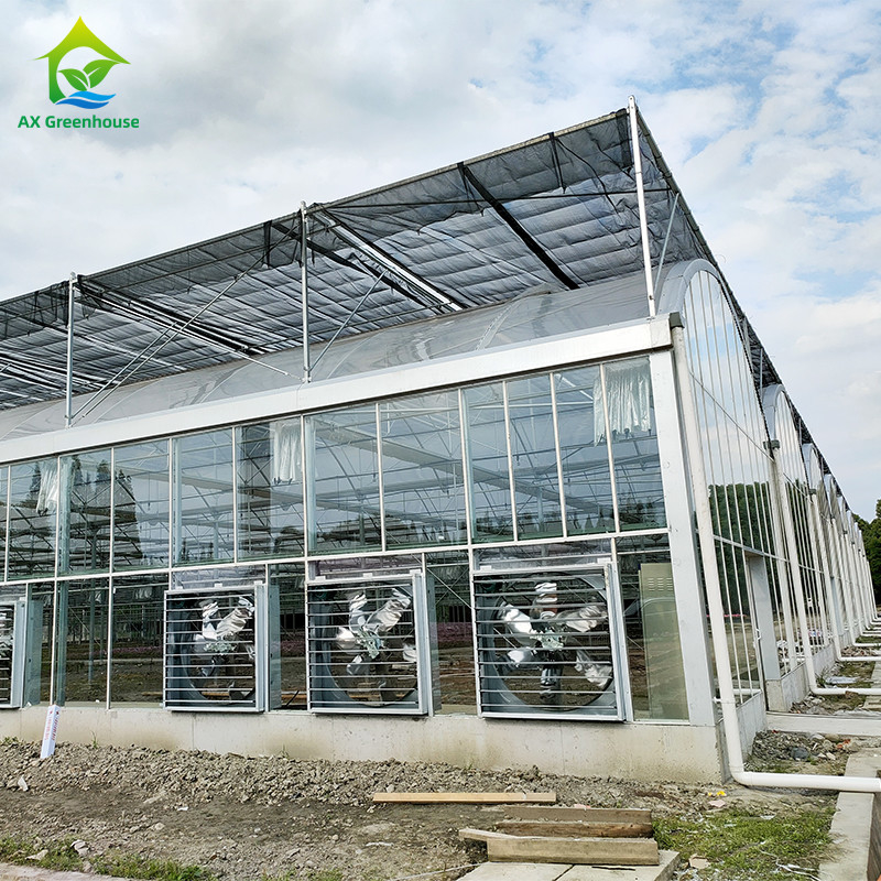 Sistema de control inteligente Invernadero duradero para verduras 9.6m/10.8m/12m de ancho