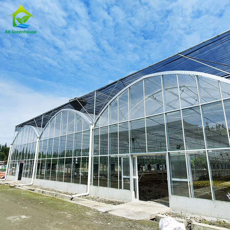 Sistema de control inteligente Invernadero duradero para verduras 9.6m/10.8m/12m de ancho