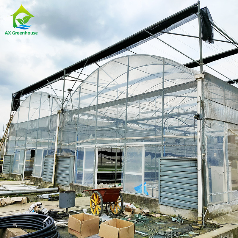 Invernadero de película de plástico resistente a los rayos UV de 30x10m para tomates y verduras con cubierta de película