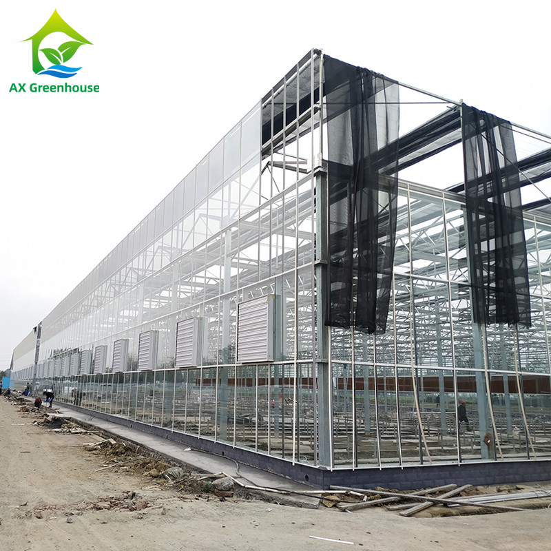 Sistema de control inteligente Invernadero duradero para verduras 9.6m/10.8m/12m de ancho