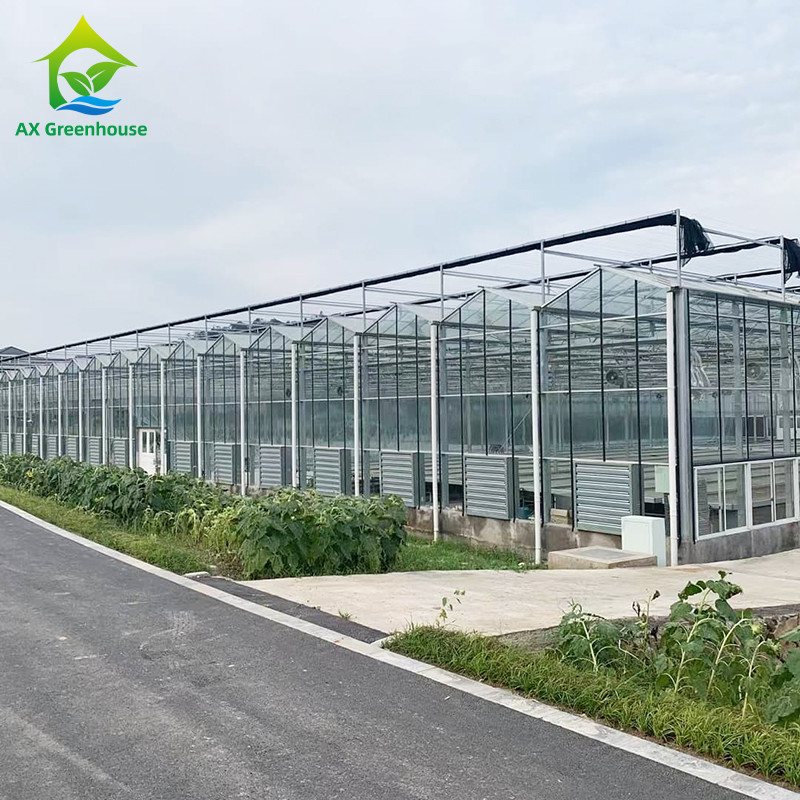 9.6m/10.8m/12m ancho marco de aleación de aluminio vidrio agrícola venlo invernadero de múltiples tramos con moldeo de techo triangular