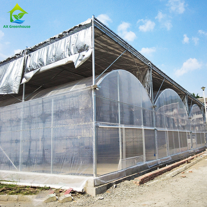 Película de plástico de acero galvanizado duradero para cultivo de frutas