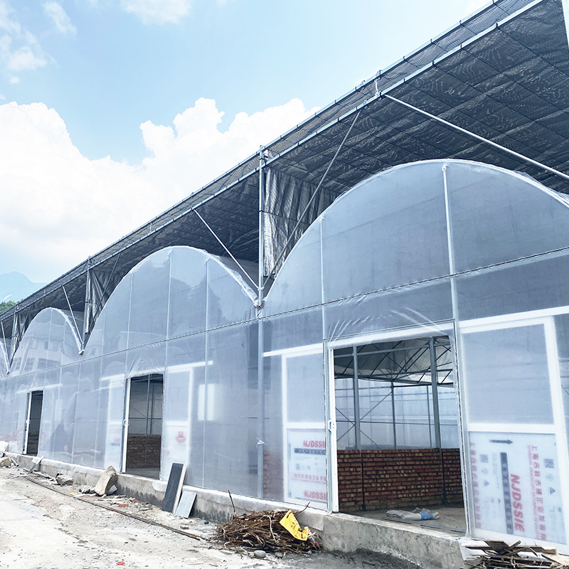Película de plástico de acero galvanizado duradero para cultivo de frutas