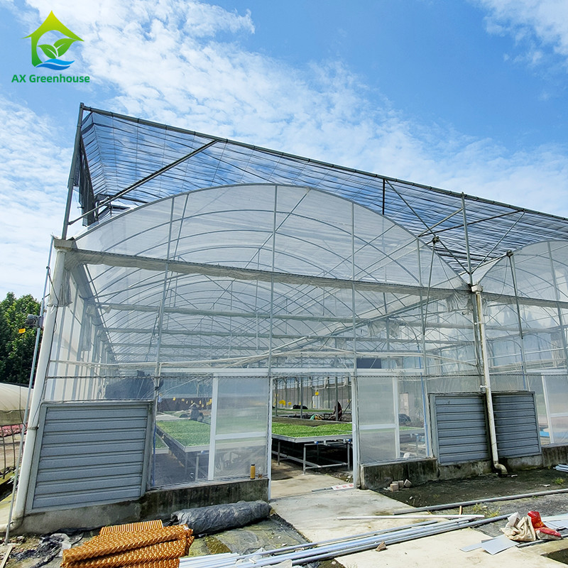 Película de plástico de acero galvanizado duradero para cultivo de frutas