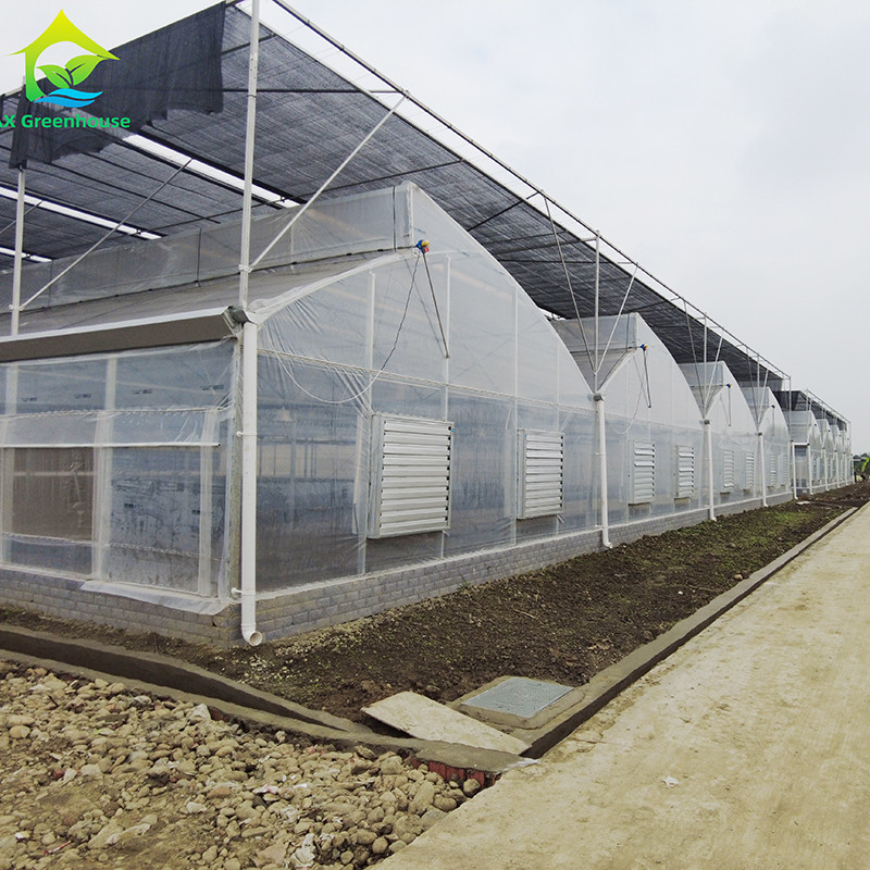 Película de plástico de acero galvanizado duradero para cultivo de frutas