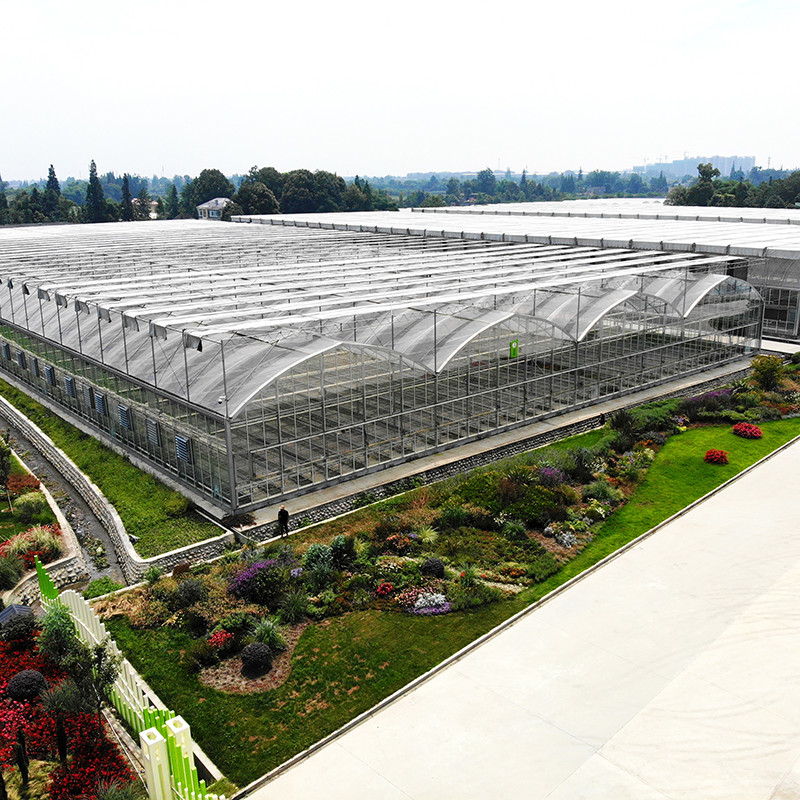 Película de plástico de acero galvanizado duradero para cultivo de frutas