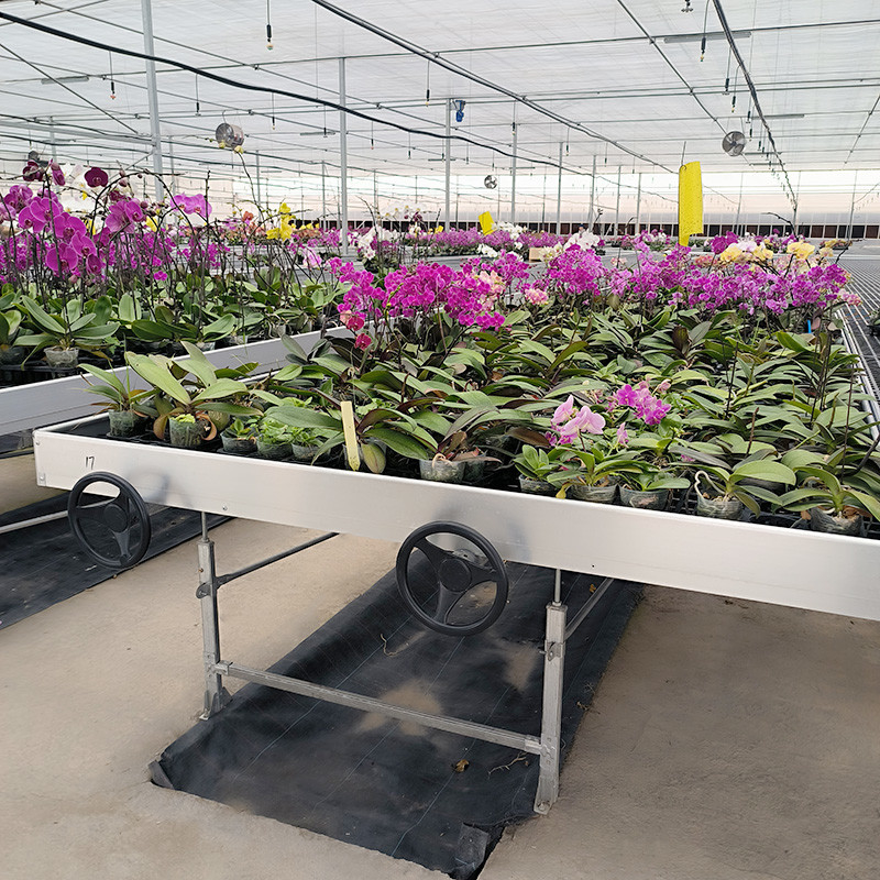 Cultivo de flores personalizado en el interior semillero vivero crecimiento de mesa banco rodante para la venta