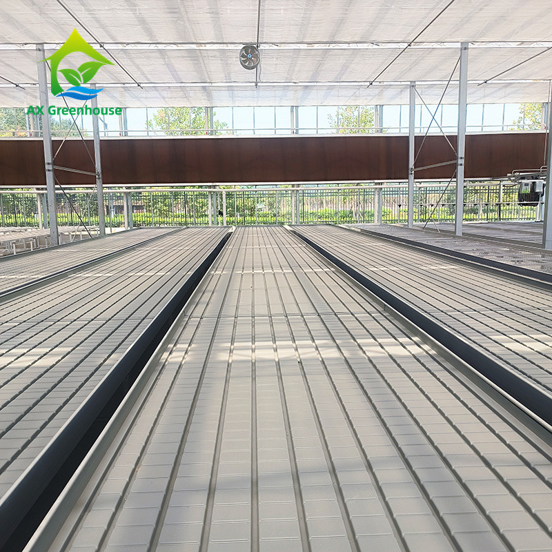 Cultivo de flores personalizado en el interior semillero vivero crecimiento de mesa banco rodante para la venta