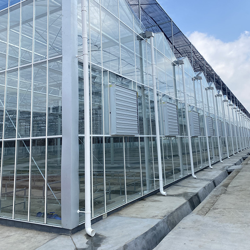 Estructura de acero galvanizado y cubierta de vidrio reforzada para una ventilación óptima en invernaderos de vidrio agrícolas