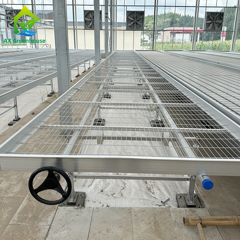 Invernadero Indoor Hydroponic Ebb And Flood Roller Benches Cultivación de semillas Mesa para la siembra