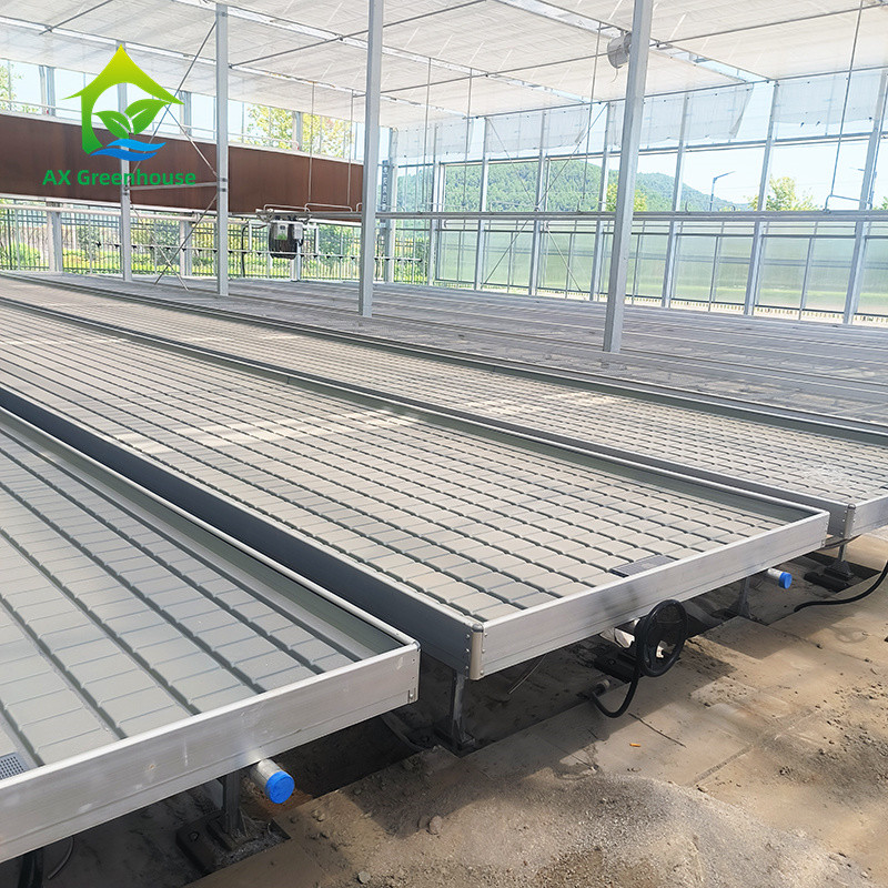 Bancos rodantes de invernadero Tabla de cultivo para semillas de plantas de tomate Sistema de riego de flujo y flujo