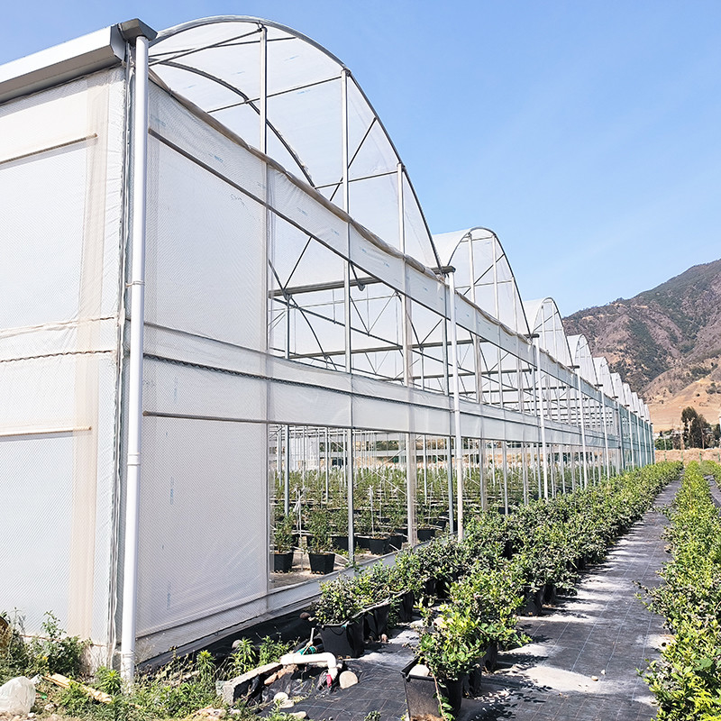 Invernadero de película de plástico resistente a los rayos UV de 30x10m para tomates y verduras con cubierta de película