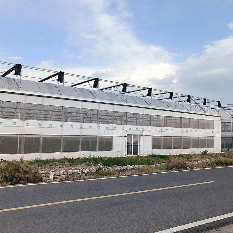 Estructura de acero Agricultura Poly túnel sombreado negro Invernadero de múltiples tramos con sistema de refrigeración opcional