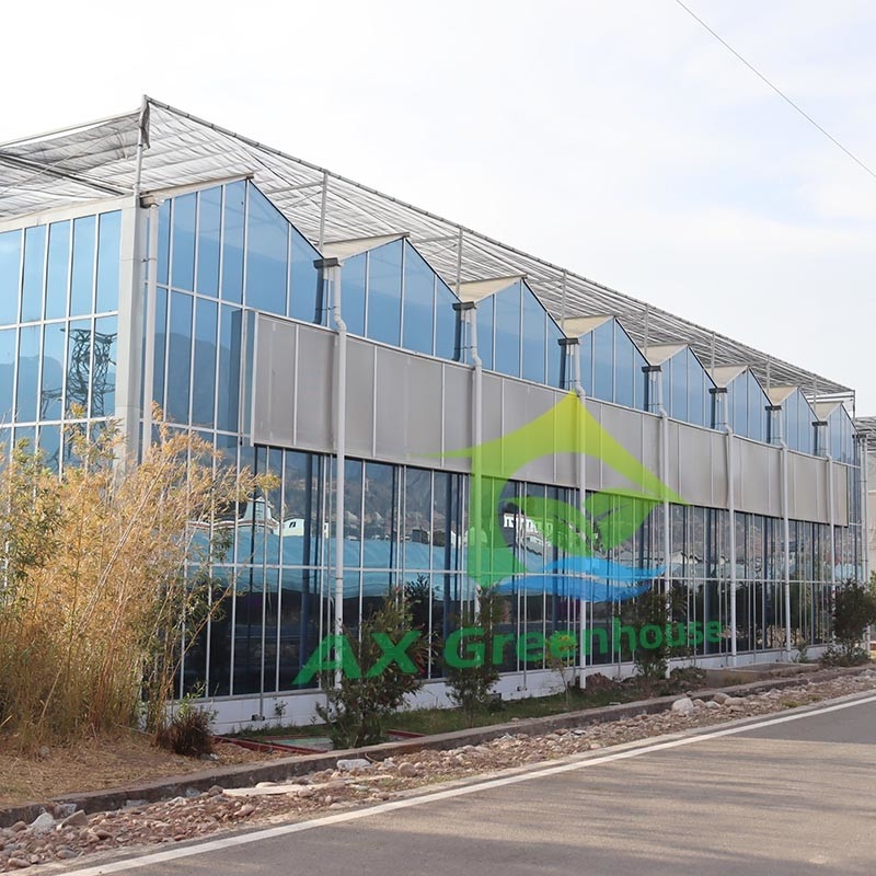 Estructura de acero galvanizado y cubierta de vidrio reforzada para una ventilación óptima en invernaderos de vidrio agrícolas