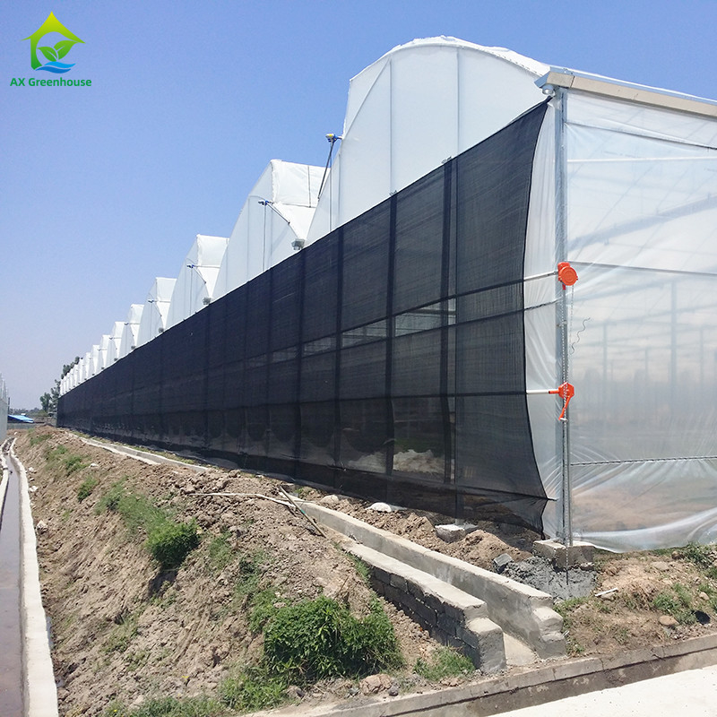 Estructura de acero Agricultura Poly túnel sombreado negro Invernadero de múltiples tramos con sistema de refrigeración opcional
