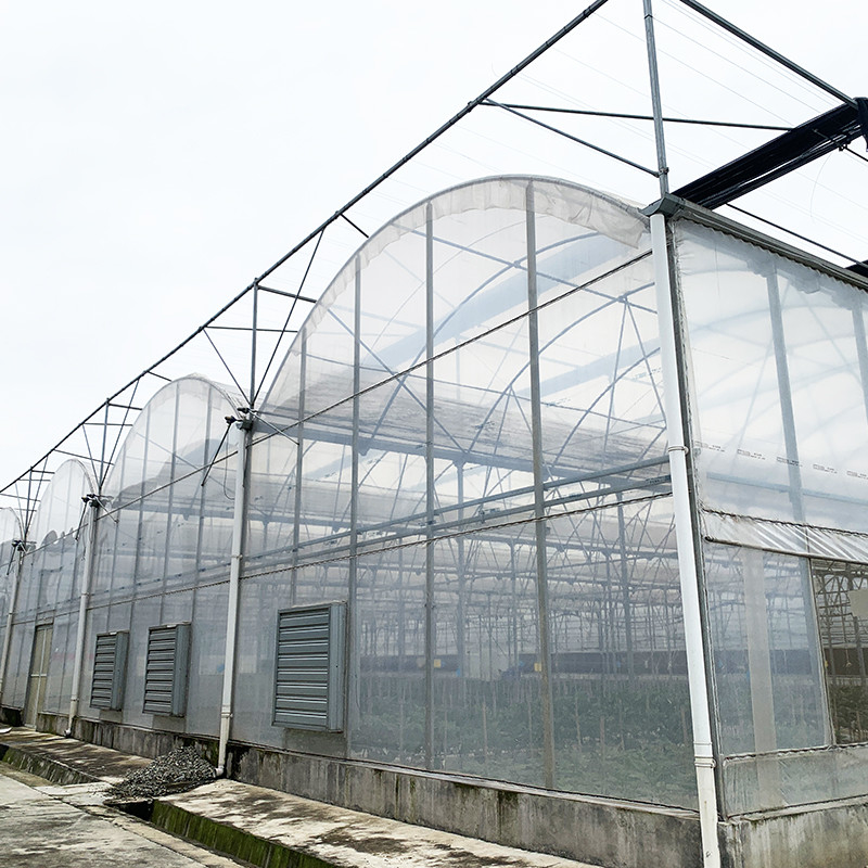 Estructura de acero Película resistente a los rayos UV Poly Tunnel Multi-span Invernadero vegetal para tomates